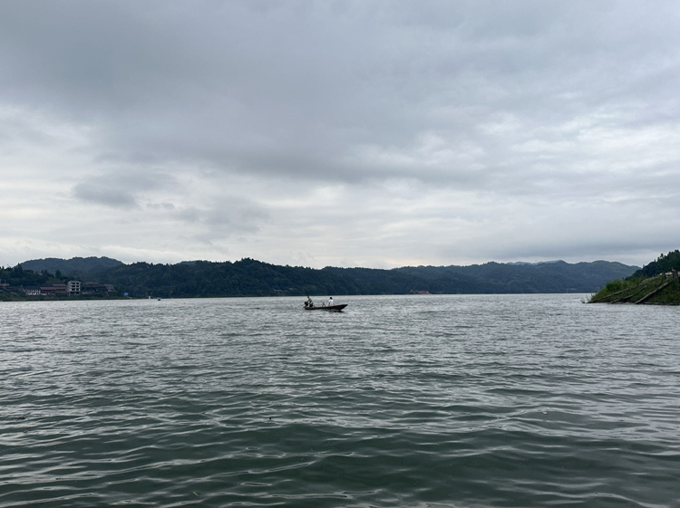 20230726629382.jpg 20230726_082958_012.jpg